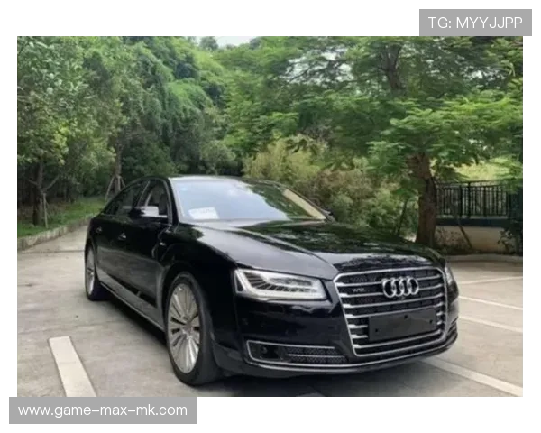 沉稳如奥迪A8,多特飙得像特斯拉Plaid!,多特是什么意思
